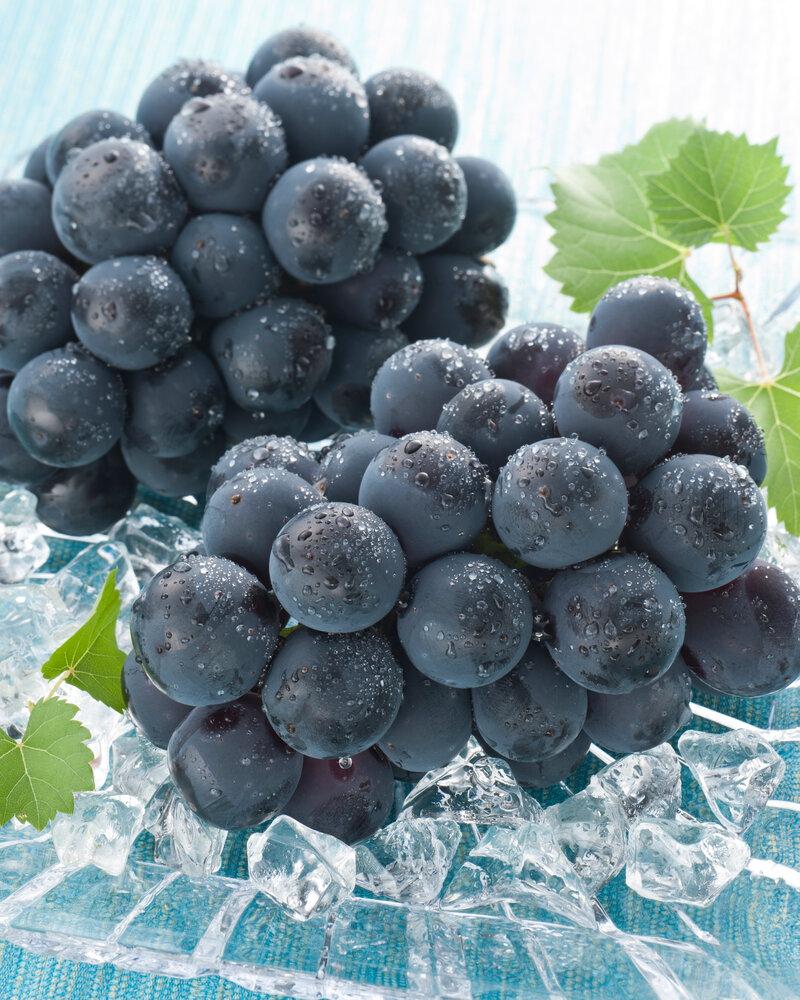 ぶどう 2026年 岡山県産 詰合/ニューピオーネ1房(480g以上)・シャインマスカット『晴王』1房(480g以上) 化粧箱入り