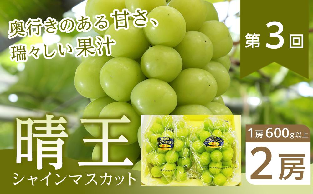 ぶどう 2026年【全3回コース】晴れの国岡山 ぶどうの定期便