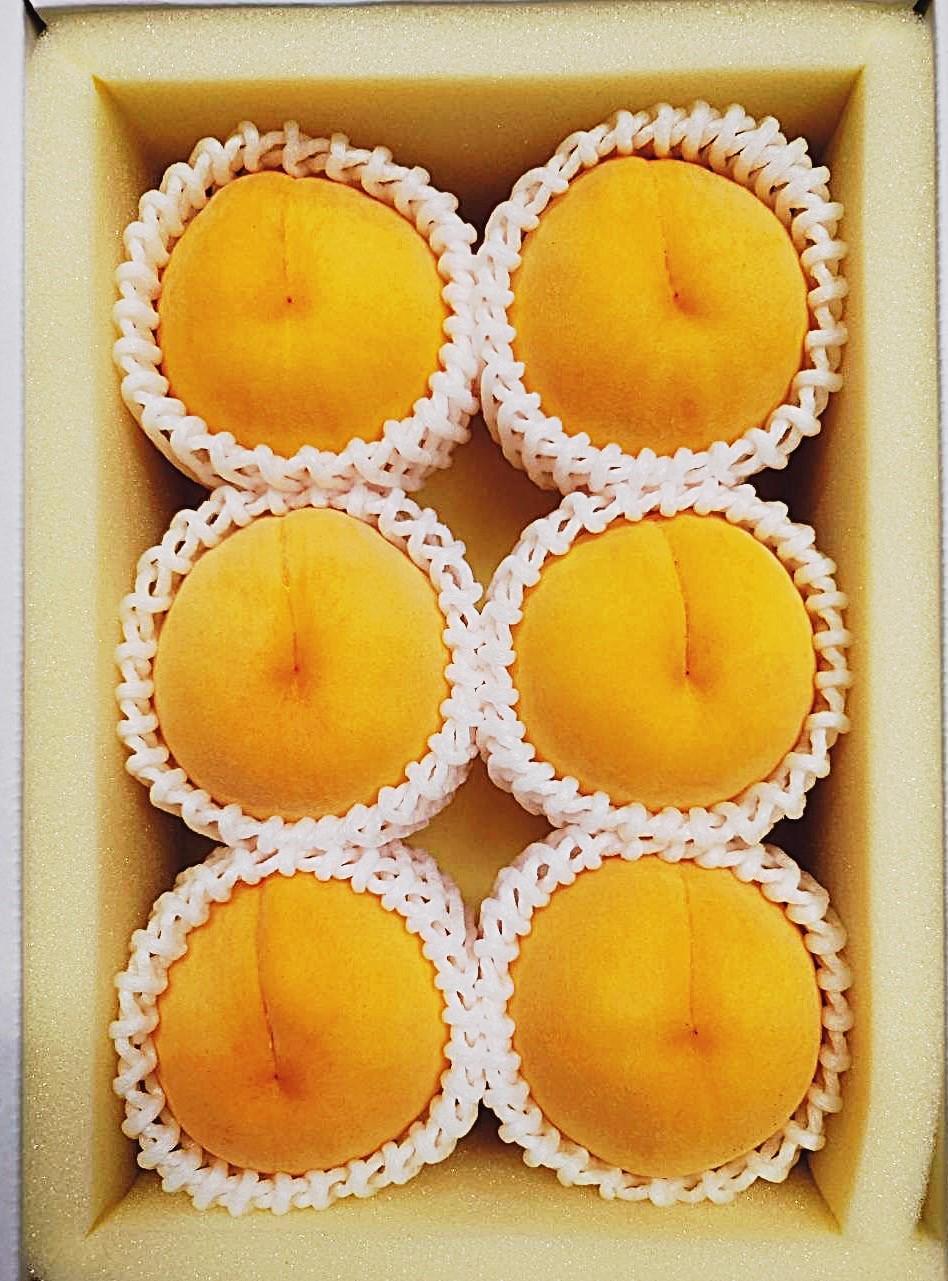 フルーツ 2026年 岡山県産 桃 食べ比べ 定期便 2回コース（白桃・黄金桃）