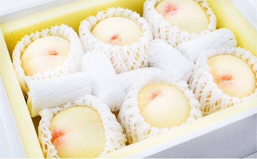 桃 定期便 2026年 晴れの国 岡山 の 白桃 ×2回 お届け 1回目 白桃 6玉（1玉250g以上）／2回目 白桃 6玉（1玉300g以上） 化粧箱入り もも モモ 岡山産 国産 フルーツ 果物 ギフト