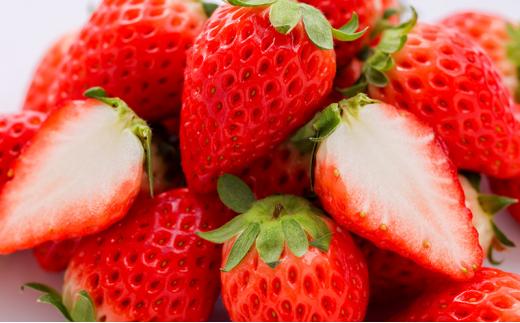 フルーツ 定期便 2026年 晴れの国 岡山 の フルーツ 定期便 4回コース 桃 ぶどう いちご 岡山県産 国産 フルーツ 果物 ギフト