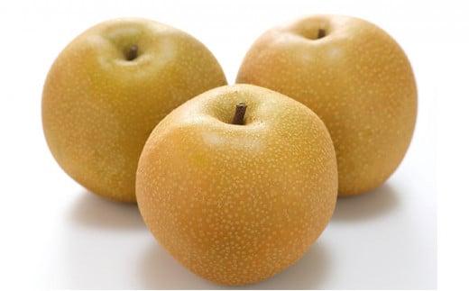 フルーツ 2026年 晴れの国 岡山 の フルーツ 定期便 3回コース 桃 ぶどう 梨 岡山県産 国産 フルーツ 果物 ギフト