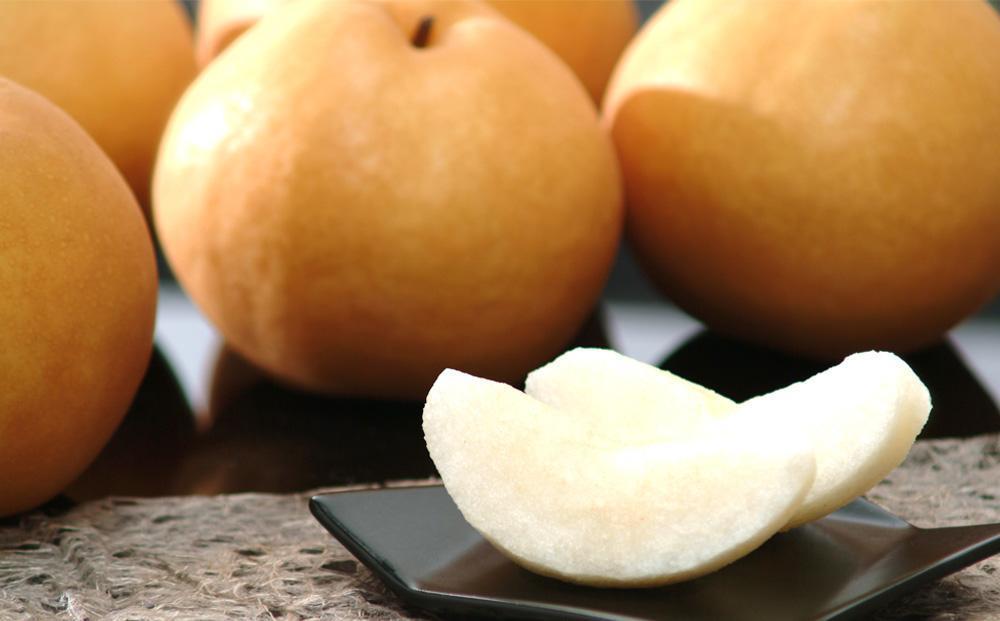 【定期便2回】シャインマスカット 1房 約600g（9月発送）・ 新高梨 4～5玉 約2.5kg（10月発送）【定期便 シャインマスカット マスカット 葡萄 ぶどう ブドウ 新高梨 梨 なし ナシ 果物 フルーツ 岡山県 倉敷市 おすすめ 人気】