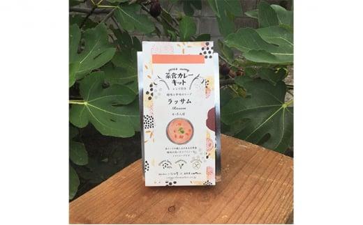 いなほ屋 × cotan 菜食 カレー キット2種 初級編B（ベジチキン＆ラッサム）