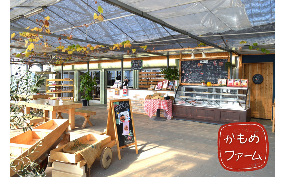 かもめファーム かおり野 化粧箱 400g（9～15粒）岡山県産 いちご 秀品