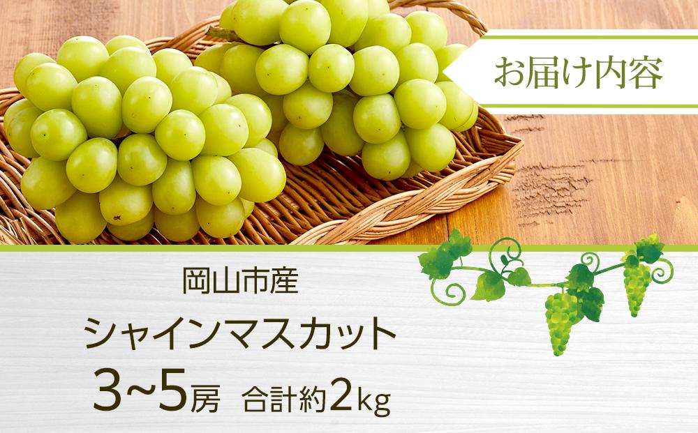 ぶどう 2026年 シャイン マスカット 3～5房 合計約2kg  種無し ブドウ 葡萄 岡山市産 国産 フルーツ 果物 渡邊農園
