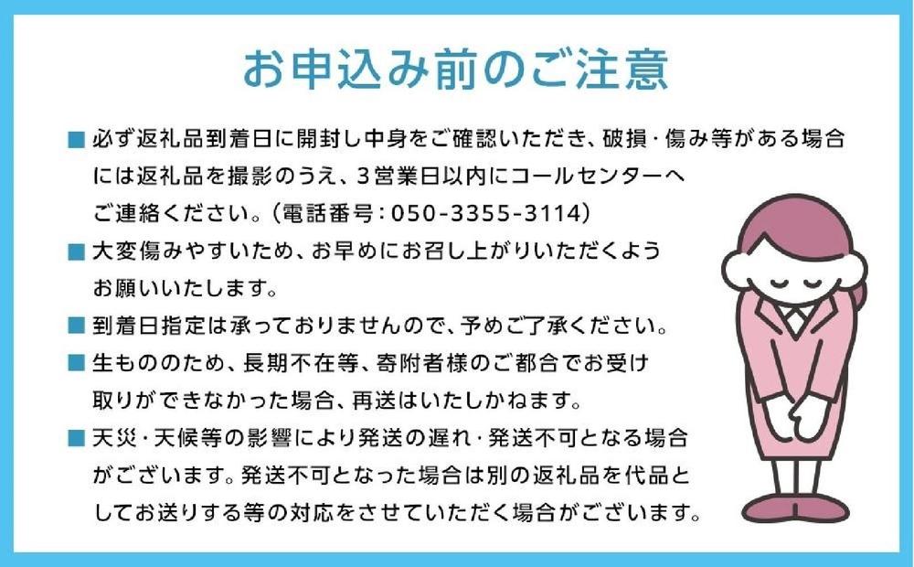 2026年 くぼ農園 ぶどう セレクション 4～5房（合計約3.0kg）