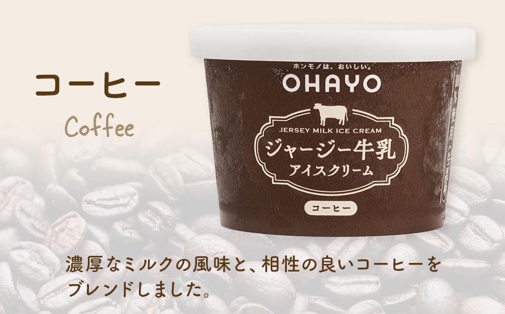 オハヨー乳業 ジャージー牛乳アイスクリーム 120ml×10個（ミルク・コーヒー）ギフト | アイス あいす ミルクアイス バニラ ばにら スイーツ デザート
