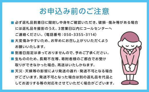 《2026年発送》岡山県産 清水白桃 1.5kg 5～7玉