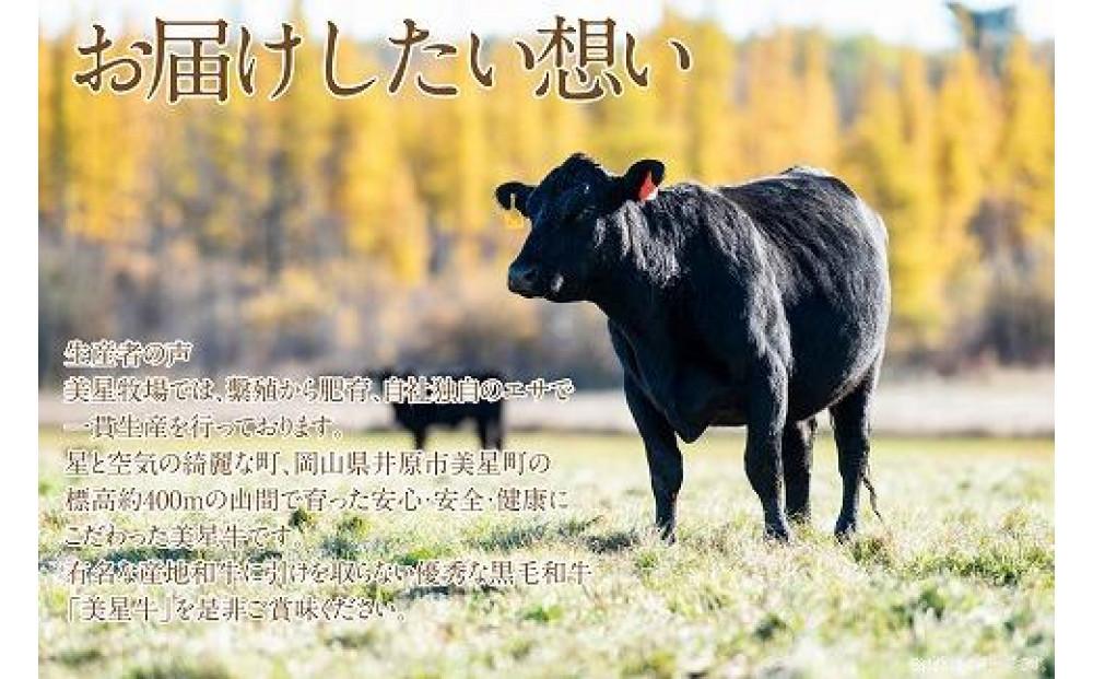 岡山　黒毛和牛　美星牛　A４等級以上　牛脂付き サーロイン　サーロインステーキ　約４００g　 約２００g×２枚　美星牧場