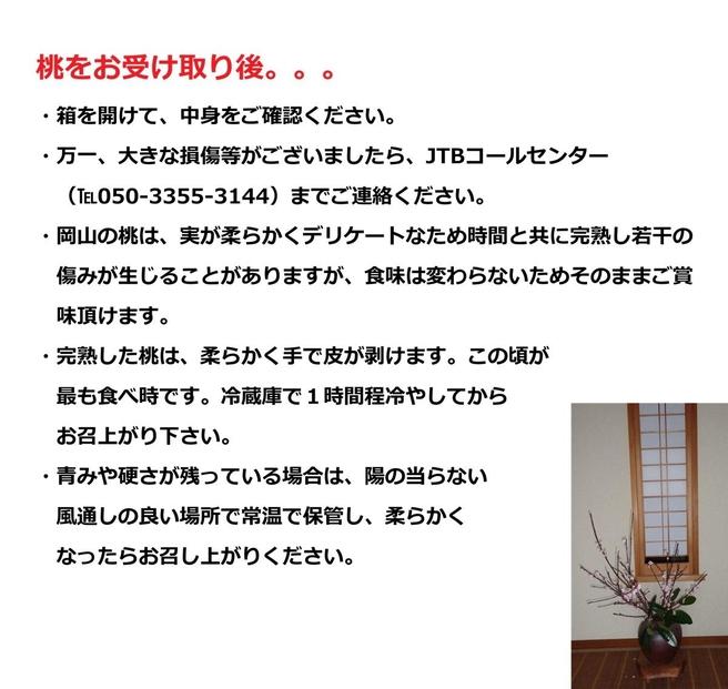 ふるさと納税 岡山市 桃 5~6個 瀬戸町 万と美桃園　