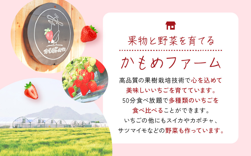 【いちご狩り】50分食べ放題体験　土日祝/大人（中学生以上）【いちご 苺 苺狩り フルーツ 果物 体験券 岡山市 岡山県 おすすめ 人気 食べ放題 岡山いちご狩り】