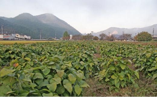 岡山県産 れんげ米 朝日 1kg 精米・れんげ米みそ 800g 詰め合わせ セット