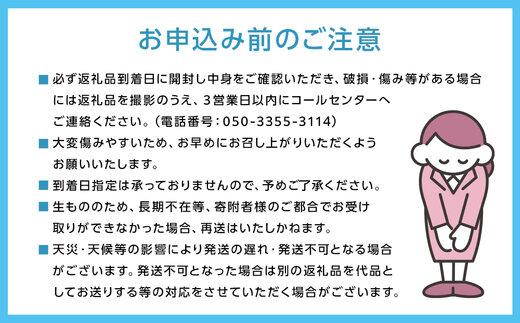 ぶどう 2024年 農家こだわりのシャインマスカット 2～3房 合計約1.2kg ブドウ 葡萄 岡山市産 国産 フルーツ 果物 【 Nini farm  農家 直送 】: 岡山市ANAのふるさと納税