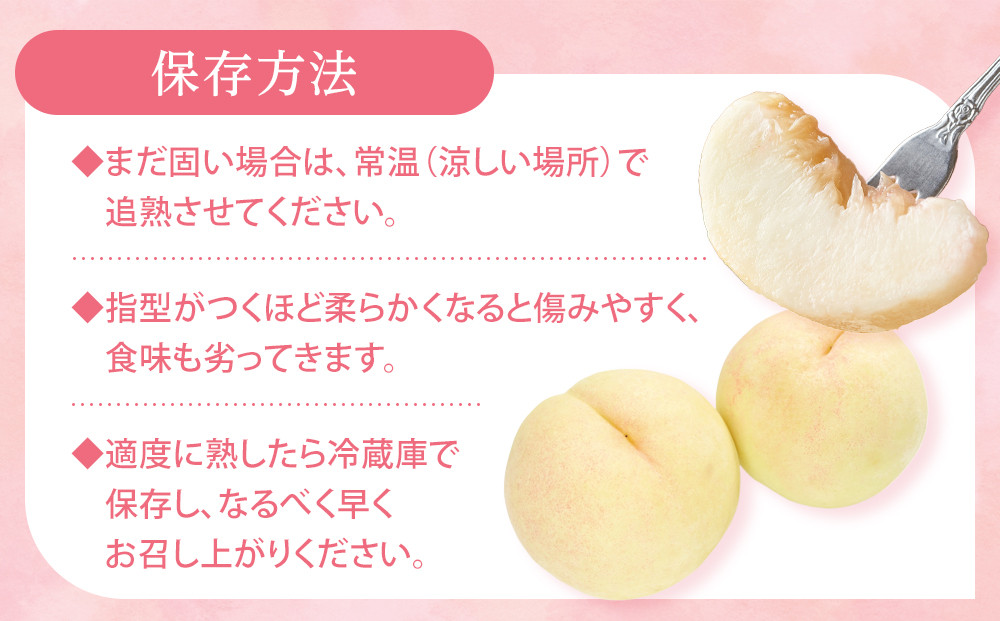 桃 2026年 贈答用 岡山 白桃  約2kg（5～7玉） もも モモ 岡山県 岡山市産 国産 フルーツ 果物 ギフト