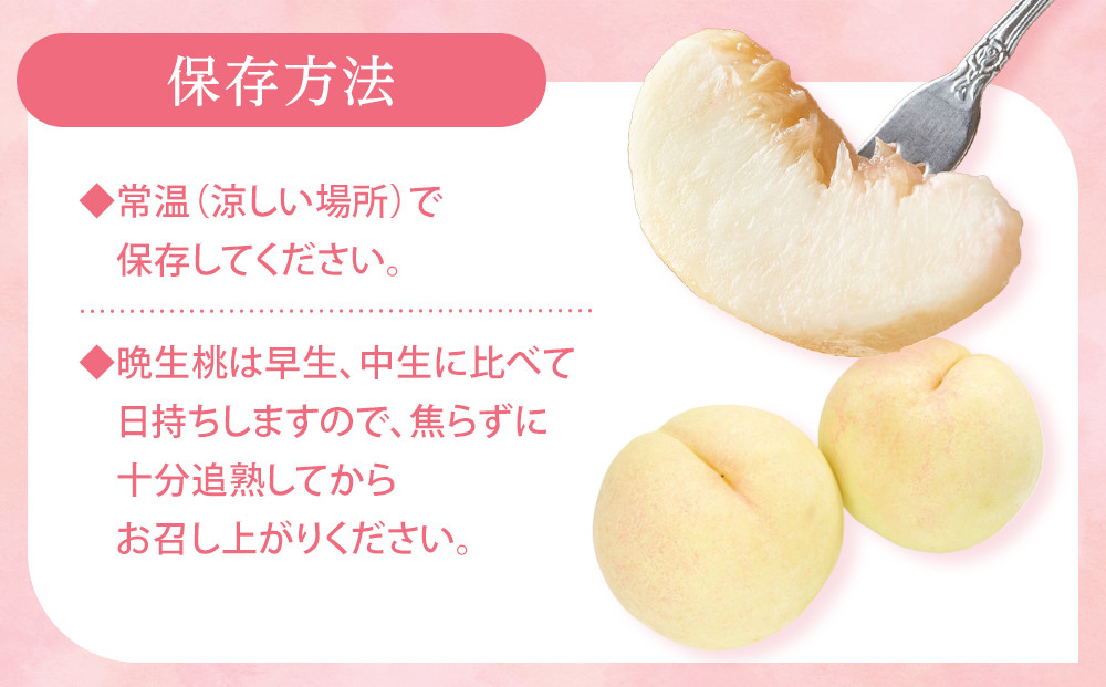 固めの 桃  2026年 ご家庭用 岡山 の 桃 晩生種 約2kg（5～9玉）（黄金桃の場合もあります） もも モモ 岡山県 岡山市産 国産 フルーツ 果物