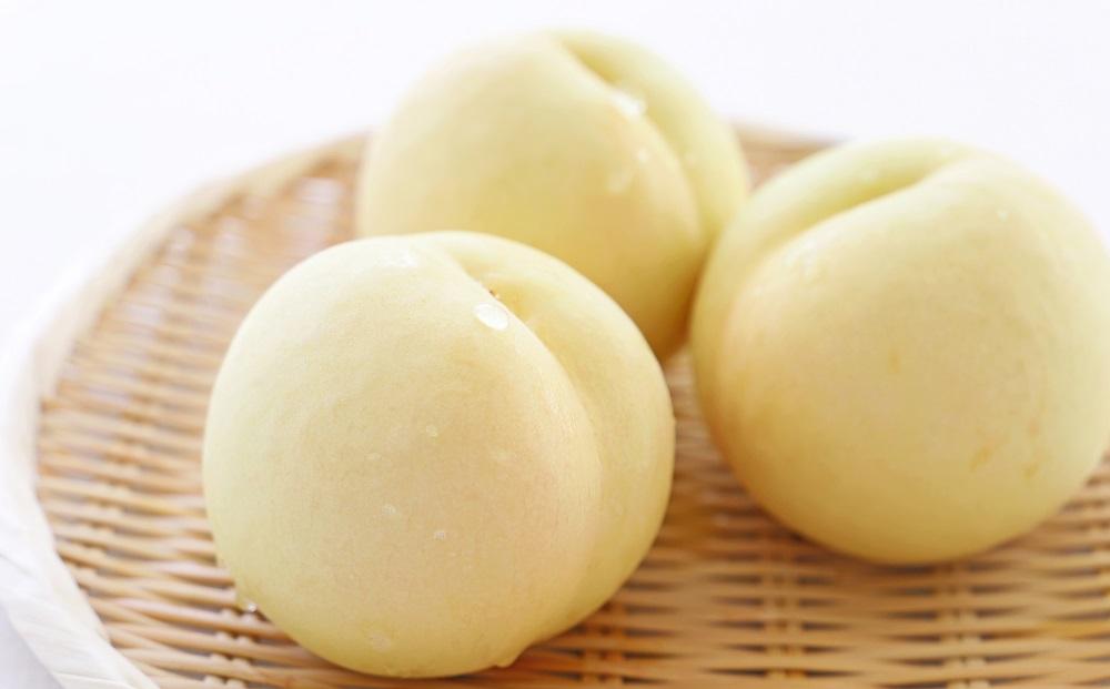 桃 2025年  白桃 等級: ロイヤル 糖度12.0度以上 6玉入り 合計1.2kg前後 もも モモ 岡山県産 国産 フルーツ 果物 ギフト