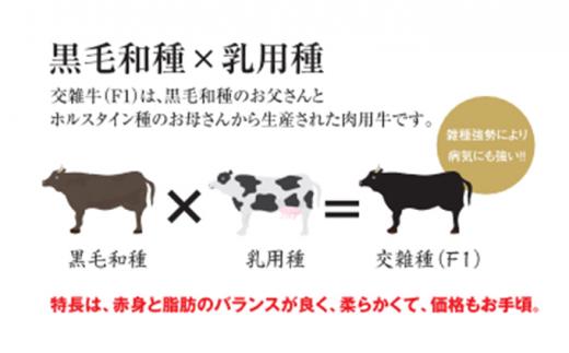 清麻呂 牛 ロース ステーキ肉 約1.08kg（約180g×6枚）岡山市場発F1 牛肉