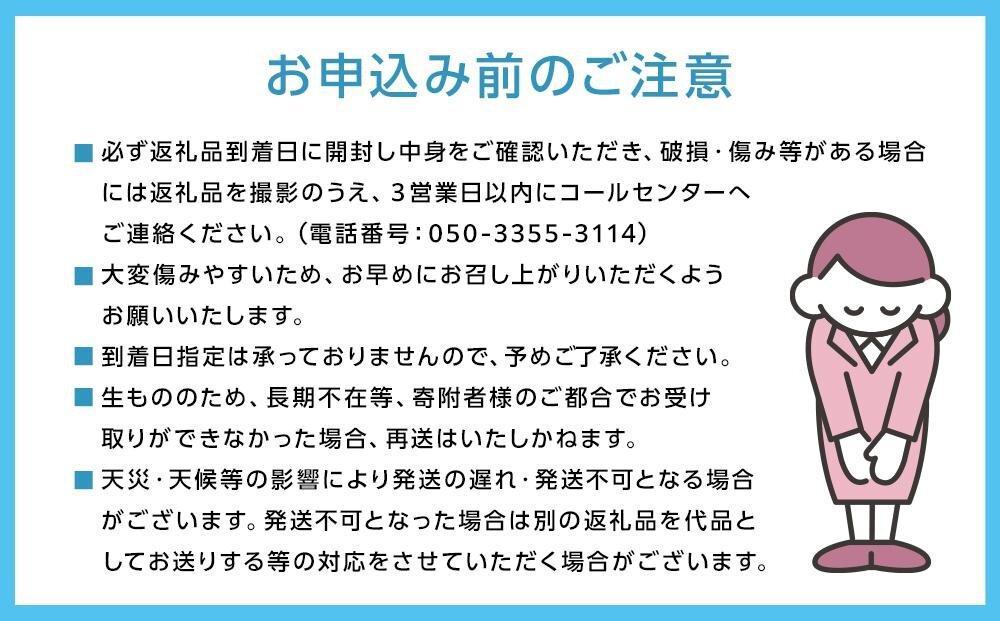 ぶどう 2026年 岡山県産 ニューピオーネ4房(1房480g以上)