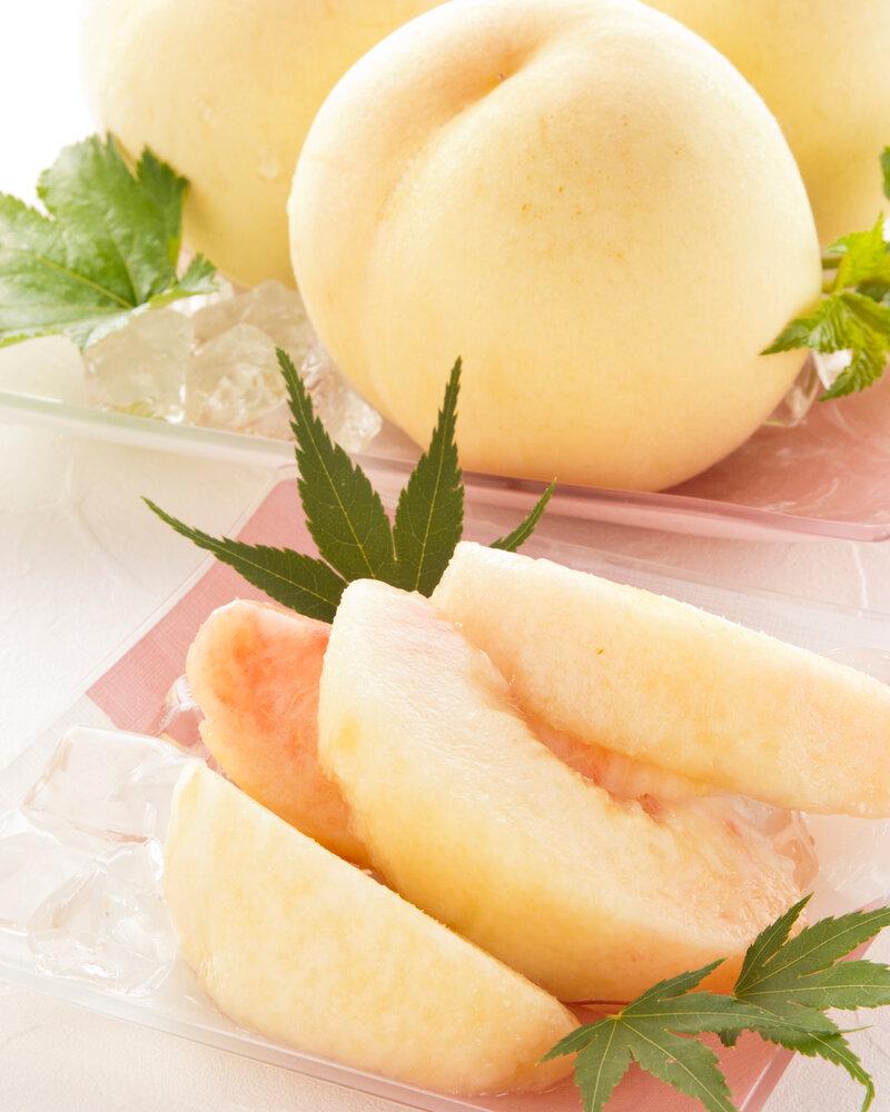 桃 ぶどう 2026年 岡山県産 詰合/白桃2玉(1玉220g以上)・シャインマスカット『晴王』2房(1房480g以上) 化粧箱入り