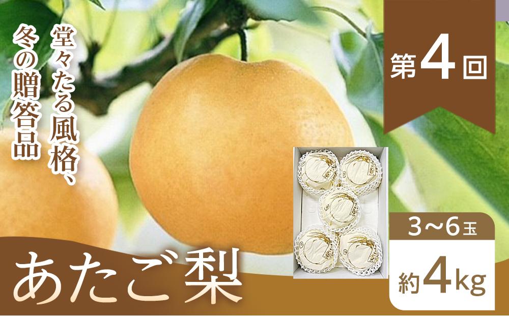 フルーツ 2026年【全4回コース】晴れの国岡山 フルーツ定期便