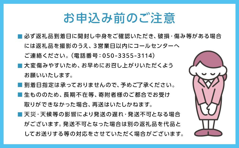ぶどう2026年  岡山県産シャインＪｅｗｅｌｒｙ ｂｏｘ赤ゴールドリボン化粧箱入り18粒贈答用