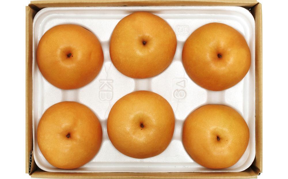 【定期便2回】シャインマスカット 1房 約600g（9月発送）・ 新高梨 4～5玉 約2.5kg（10月発送）【定期便 シャインマスカット マスカット 葡萄 ぶどう ブドウ 新高梨 梨 なし ナシ 果物 フルーツ 岡山県 倉敷市 おすすめ 人気】