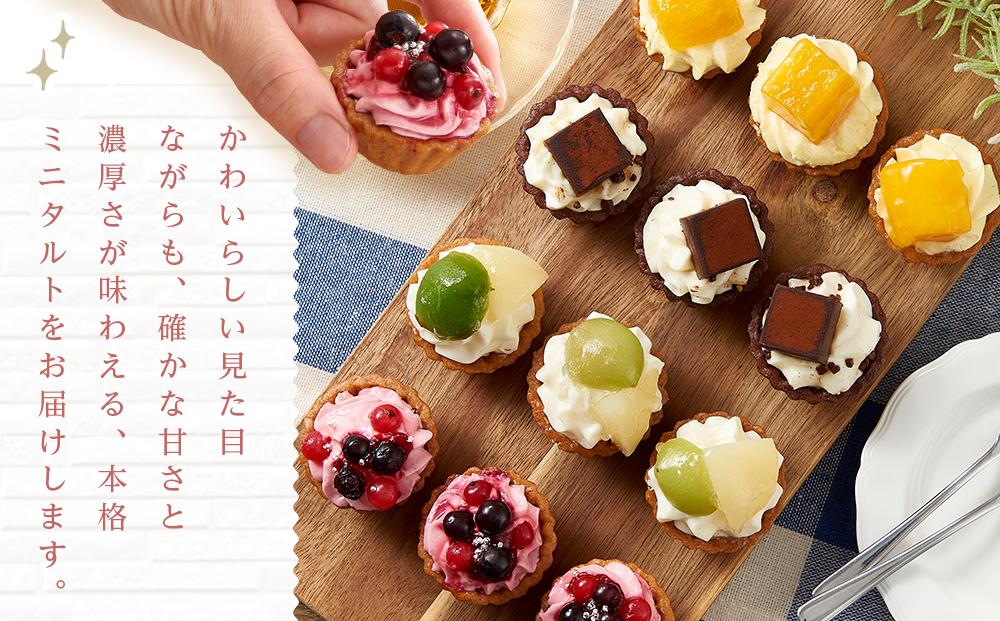 定期便 2ヶ月 フレッシュ タルト 専門店  STYLE 岡山みに たると 詰め合わせ 15個入り ケーキ タルト 詰合せ お菓子 スイーツ