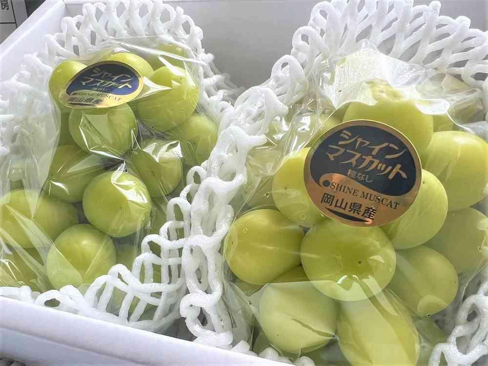 ぶどう 2026年 シャイン マスカット 2房 合計約1kg  種無し ブドウ 葡萄 岡山市産 国産 フルーツ 果物 渡邊農園