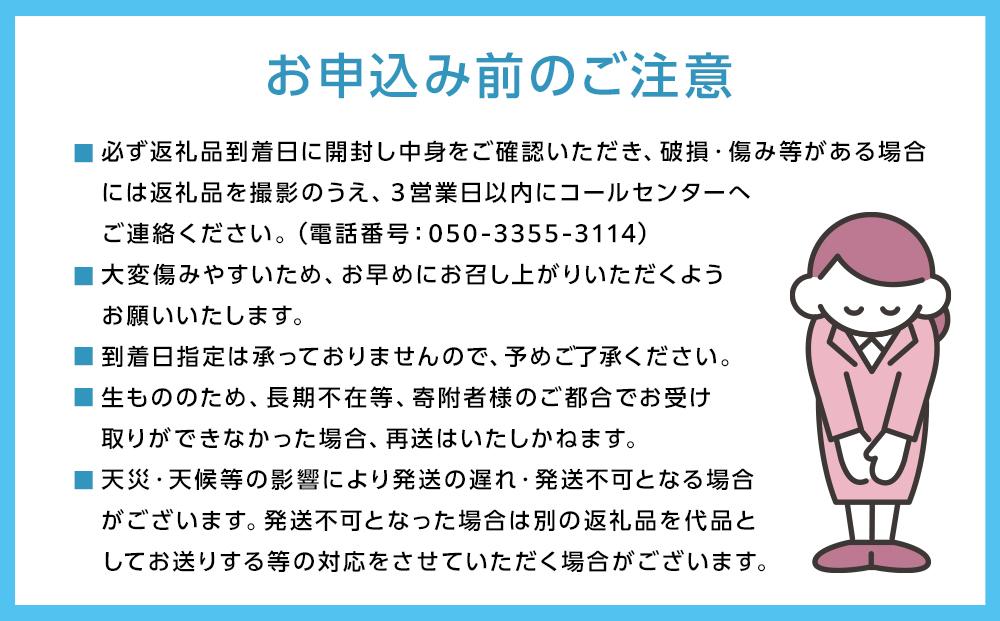 フルーツ 定期便 2024年 先行予約 天晴れ おかやま 果物 定期便 (2) シャイン マスカット 3回／ ニュー ピオーネ 1回 合計4回お届け！  岡山県産 国産 セット ギフト [No.5220-1227]: 岡山市ANAのふるさと納税