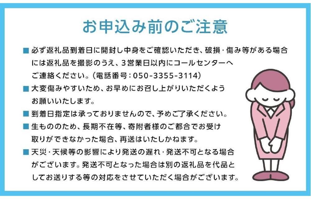 くぼ農園 ぶどう セレクション 4～5房（合計約2.0kg）