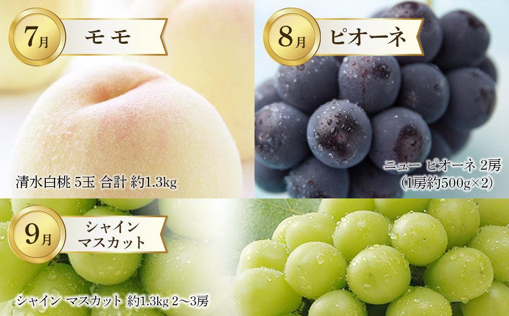 【定期便12回】岡山市の特産品を毎月お届けします （お肉・お酒・スイーツ・アイス・フルーツ）