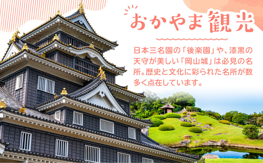 【定期便3回】岡山市 厳選 地ビールを毎月お届け！ （独歩ビール・ファジビール・ Citrusビール）