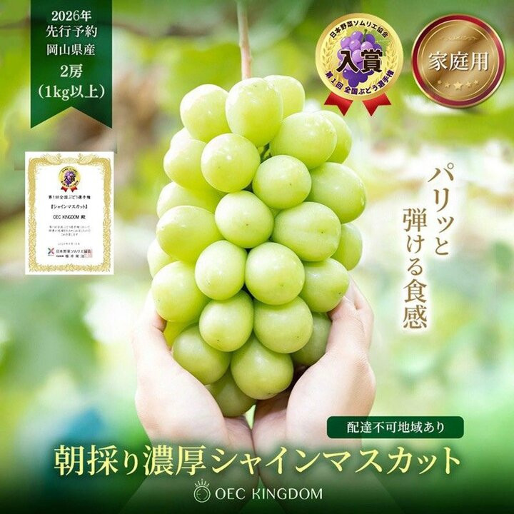 ぶどう 2026年  ［ご家庭用］ シャイン マスカット 2房（合計1kg以上）【第1回全国ぶどう選手権入賞】| ブドウ 葡萄  岡山県産 国産 フルーツ 果物 OEC KINGDOM ぶどう家