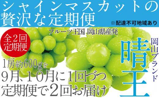 ぶどう 2025年  9月・10月発送 シャイン マスカット 晴王 1房 約600g×2回 ブドウ 葡萄  岡山県産 国産 フルーツ 果物 ギフト