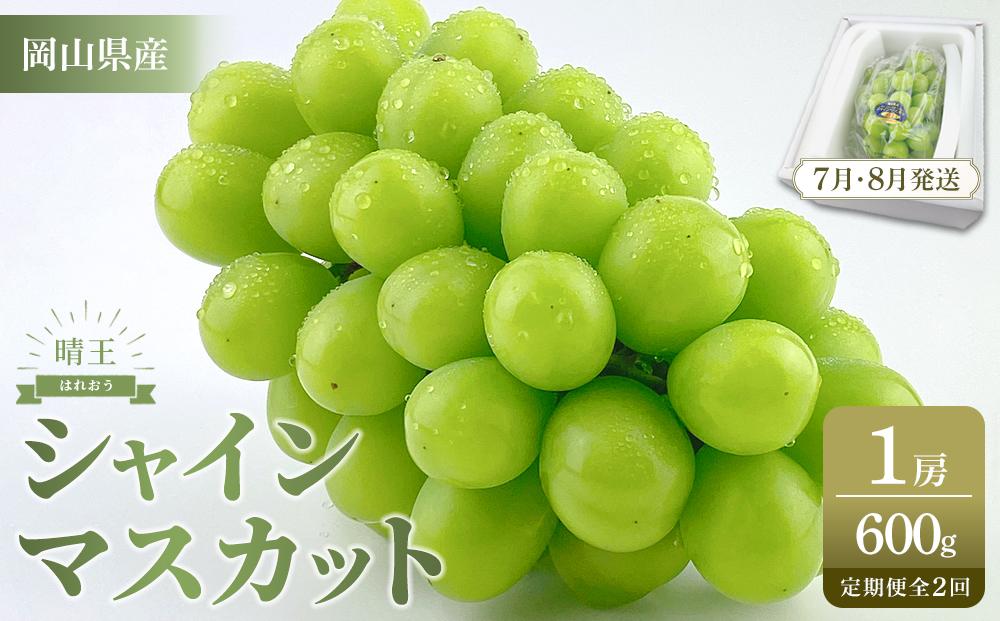 【定期便 全2回／2026年7月・8月発送】岡山県産 シャインマスカット 晴王 1房 約600g 2回定期便　7月・8月に１回づつ出荷　種無し 皮ごと食べる フレッシュ 先行受付