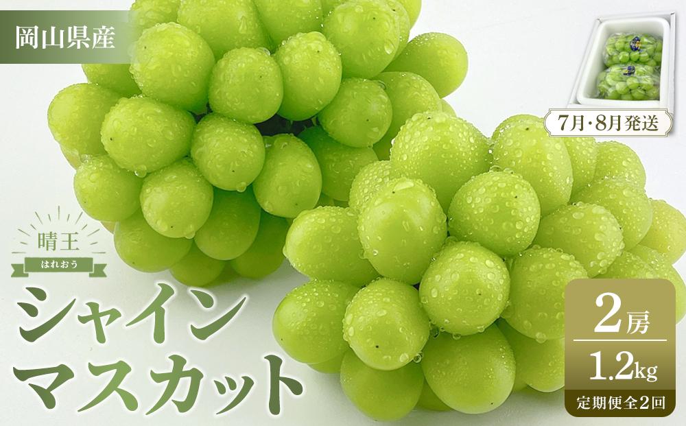 【定期便 全2回／2026年7・8月発送】岡山県産 シャインマスカット 晴王 2房 約1.2kg 　2回定期便　7月・8月に１回づつ出荷　種無し 皮ごと食べる フレッシュ 先行受付　ハレノフルーツ