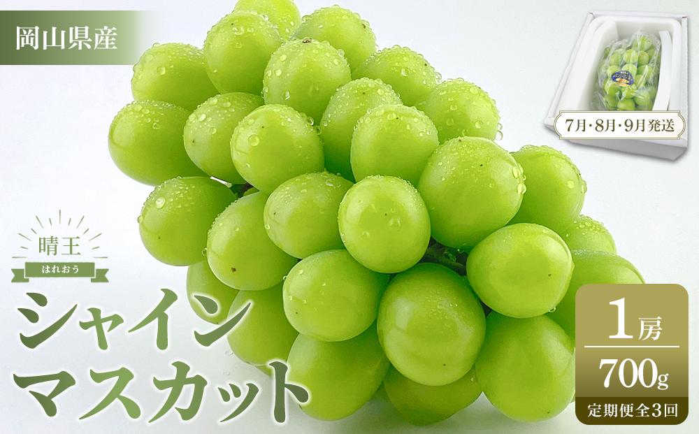 【定期便 全3回／2026年7・8・9月発送】岡山県産 シャインマスカット 晴王 1房 約700g 3回定期便　 ７月・８月・９月に１回づつお届け　種無し 皮ごと食べる フレッシュ 先行受付　ハレノフルーツ