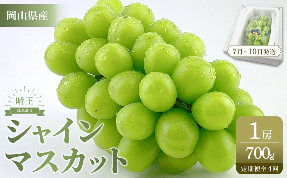 【定期便 全4回／2026年7～10月毎月発送】岡山県産 シャインマスカット 晴王 1房 約700g ４回定期便　 ７月・８月・９月・10月に１回づつお届け　種無し 皮ごと食べる フレッシュ 先行受付　ハレノスイーツ