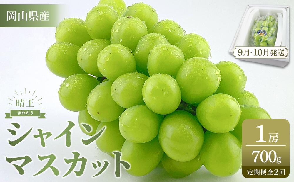 【定期便 全2回／2025年9・10月発送】 岡山県産シャインマスカット 晴王 1房 約700g  2回定期便　９月・１０月に１回づつお届け　種無し 皮ごと食べる 旬の美味しさ　フレッシュ 　ハレノフルーツ