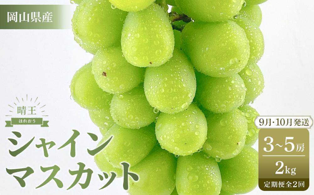 【定期便 全2回／2026年9・10月発送】 岡山県産シャインマスカット 晴王 約2kg（3～5房） 2回定期便　9月10月に1回づつ発送　種無し 皮ごと食べる 旬の美味しさ　フレッシュ 　ハレノフルーツ