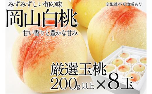 桃 2025年  岡山の白桃 200g以上×8玉 | 白桃 旬 みずみずしい 晴れの国 おかやま 岡山県産 フルーツ王国 果物王国