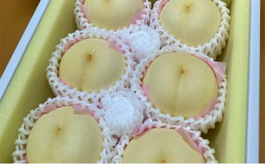 桃［2024年］岡山の 白桃 約1.4kg 4～6玉 贈答用 岡山市一宮産 きびファーム美果美香