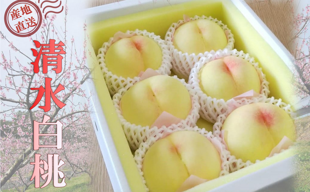 桃 2026年 贈答用 岡山 清水 白桃  約2kg（5～7玉） もも モモ 岡山県 岡山市産 国産 フルーツ 果物 ギフト