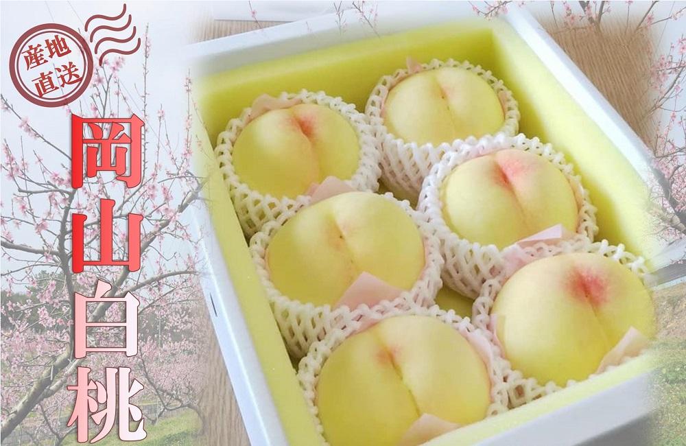 桃 2026年 ご家庭用 岡山 白桃  約2kg（5～10玉） もも モモ 岡山県 岡山市産 国産 フルーツ 果物