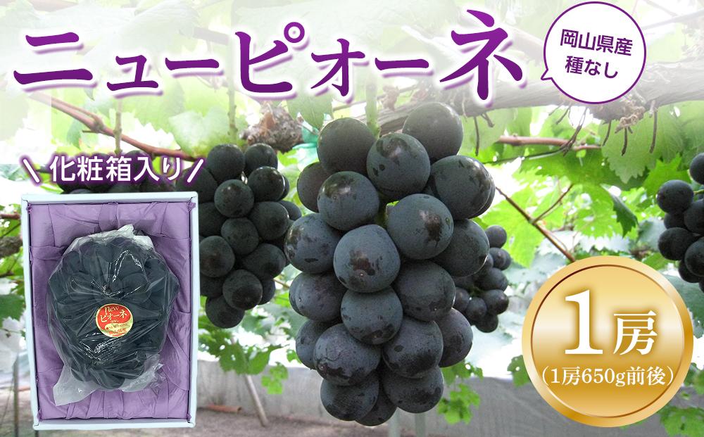 ぶどう 2026年  ニュー ピオーネ 1房（1房約600g前後）産地直送  岡山県産 フルーツ 果物 たけまさぶどう園