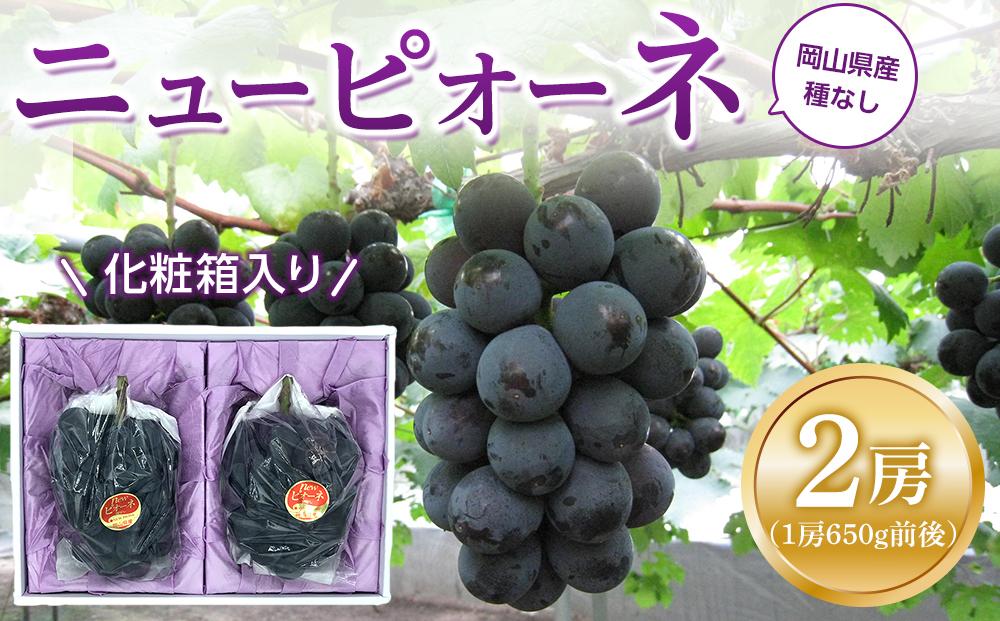 ぶどう 2026年  ニュー ピオーネ 2房（1房約650g前後）産地直送  岡山県産 フルーツ 果物 ギフト たけまさぶどう園