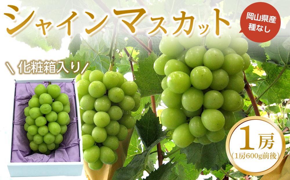 ぶどう 2026年  シャインマスカット 1房（1房600g前後）産地直送 岡山県産フルーツ 果物 ギフト たけまさぶどう園
