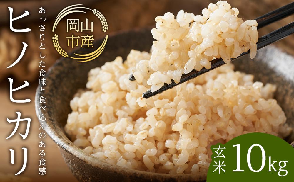 令和7年産 米 玄米 ヒノヒカリ 岡山市産 （ 10kg × 1袋 ）