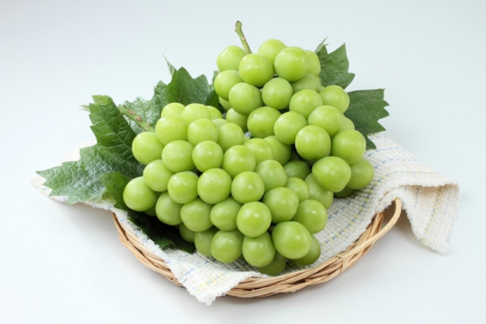 岡山県産シャインマスカット（ご家庭用）約1.2kg (２～３房）【2026年発送】